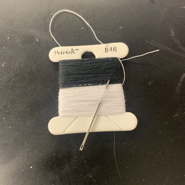 File:Needle and Thread.jpg